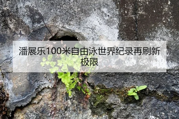 潘展乐100米自由泳世界纪录再刷新极限